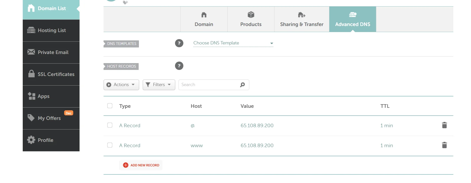 domain name update dns