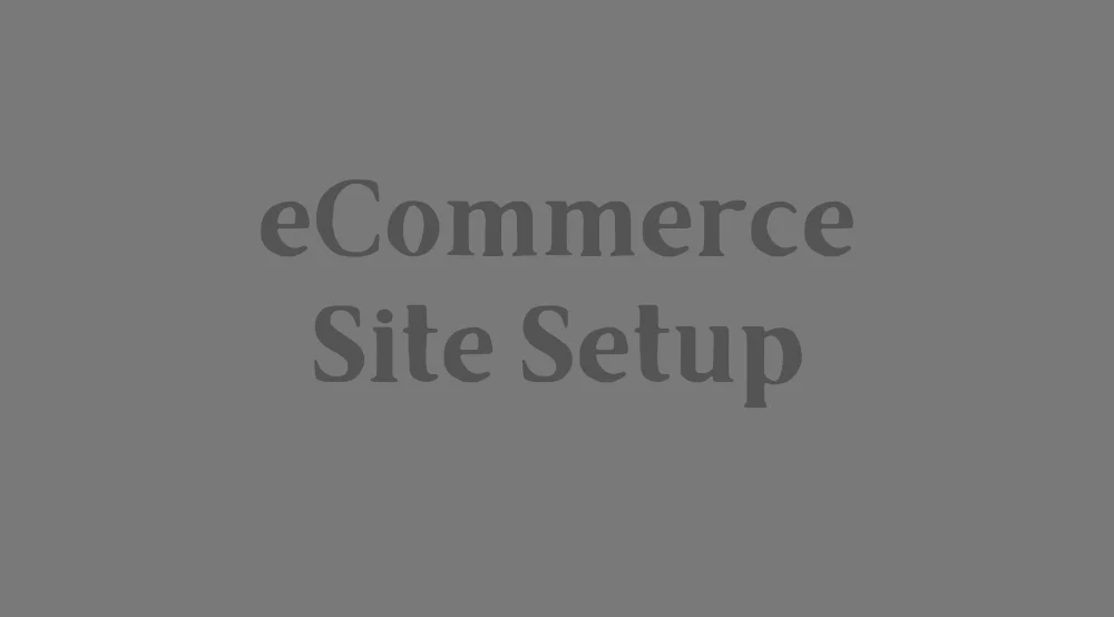 Choosing between a self-hosted ecommerce platform and marketplace